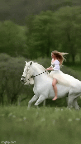 gif2